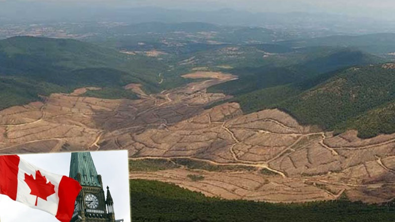 Kanada’dan Kaz Dağları mektubuna yanıt geldi