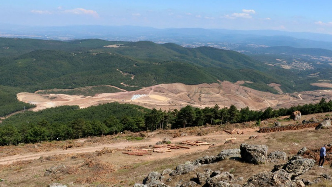 'Eskişehir'de 200 bine yakın ağaç kesilecek'