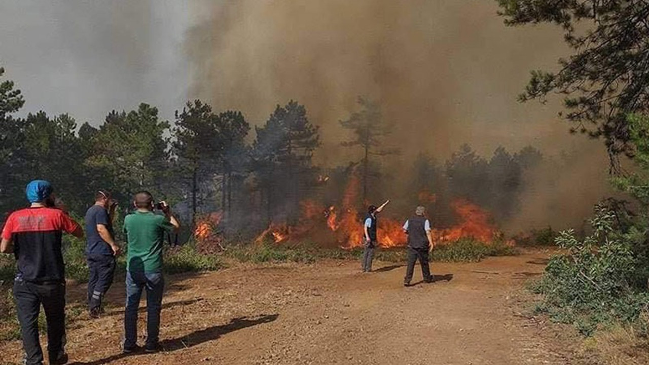 Bursa Orman Bölge Müdürü: Yangını kayıtlarımıza sabotaj olarak geçirdik