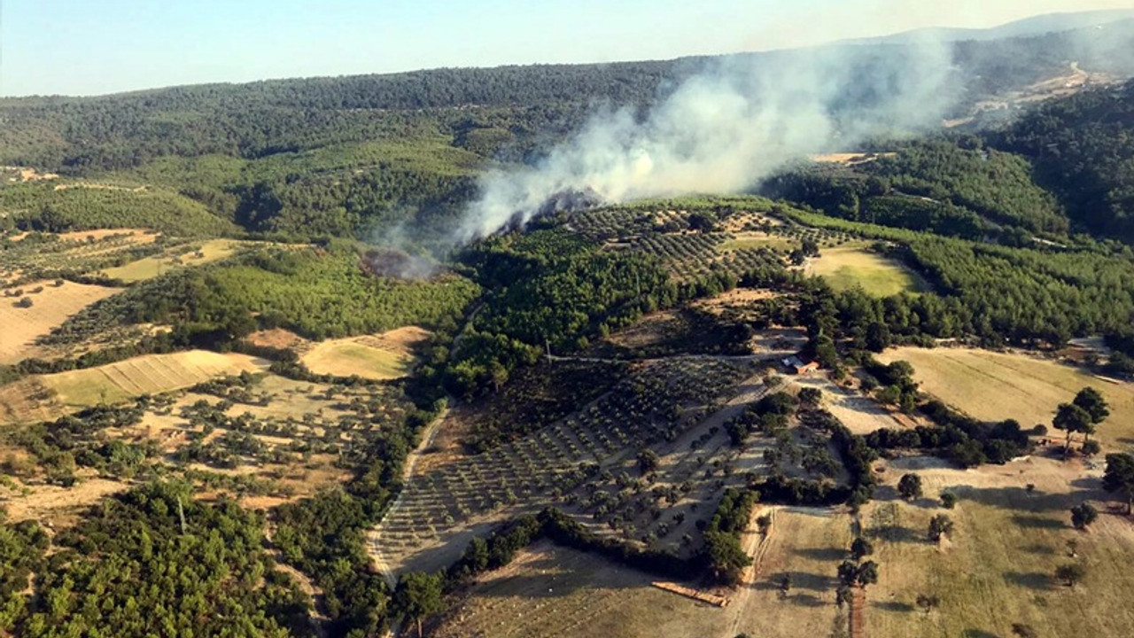 Bergama'da 3 buçuk hektarlık ormanlık alan yandı