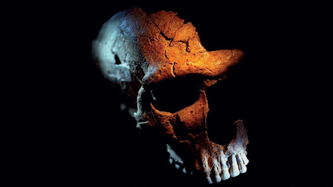 İran'da ilk kez doğrudan Neandertal varlığı kanıtlandı