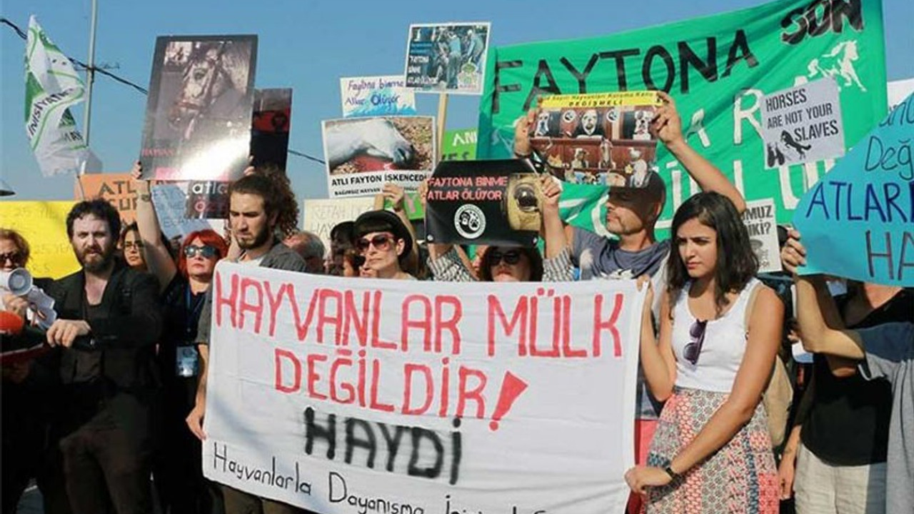 Hayvan hakları savunucuları: İmamoğlu fayton sözünü tutmalı