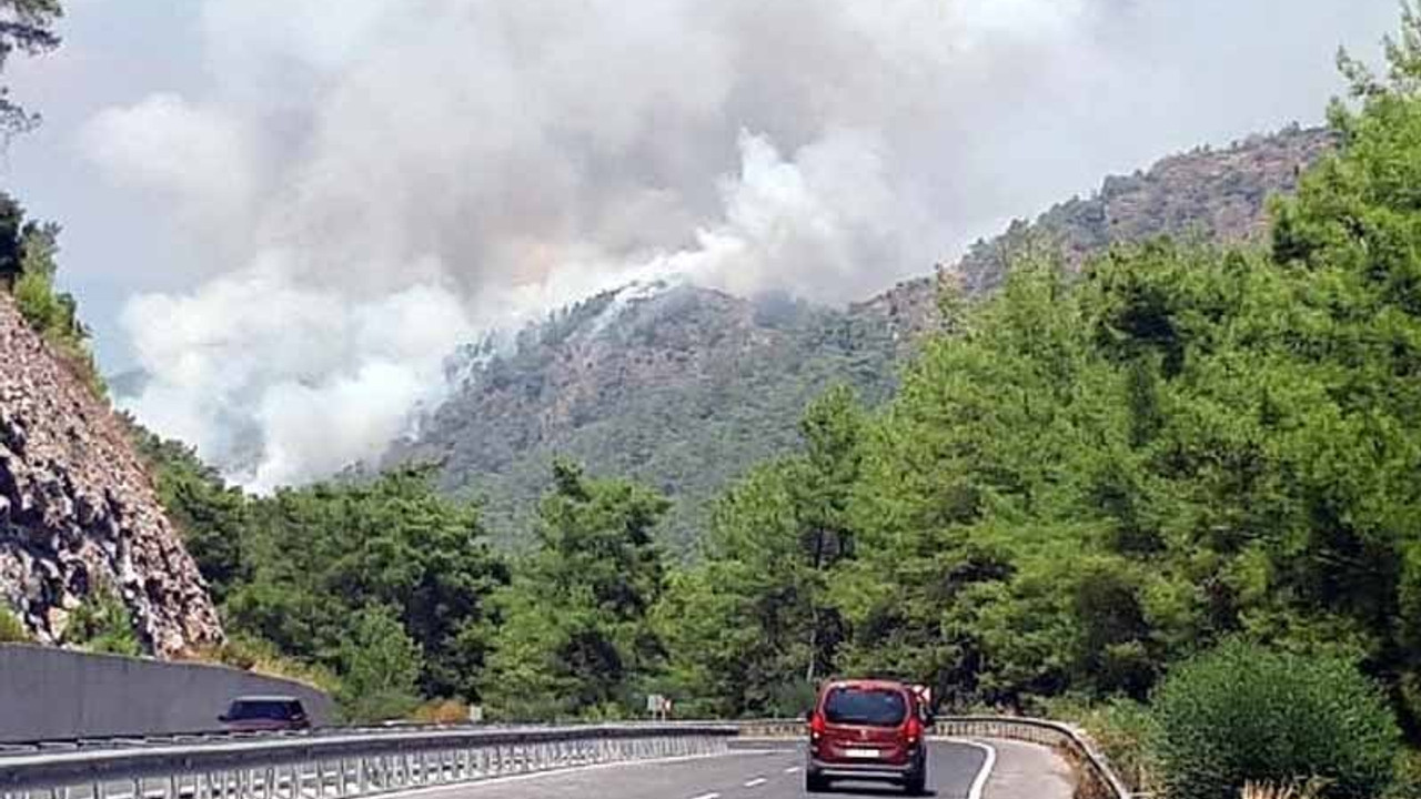 Marmaris'te orman yangını