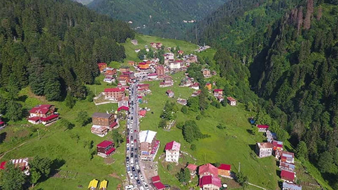 Rize'de yaylalara yapı malzemesi ve iş makinelerinin çıkarılması yasaklandı