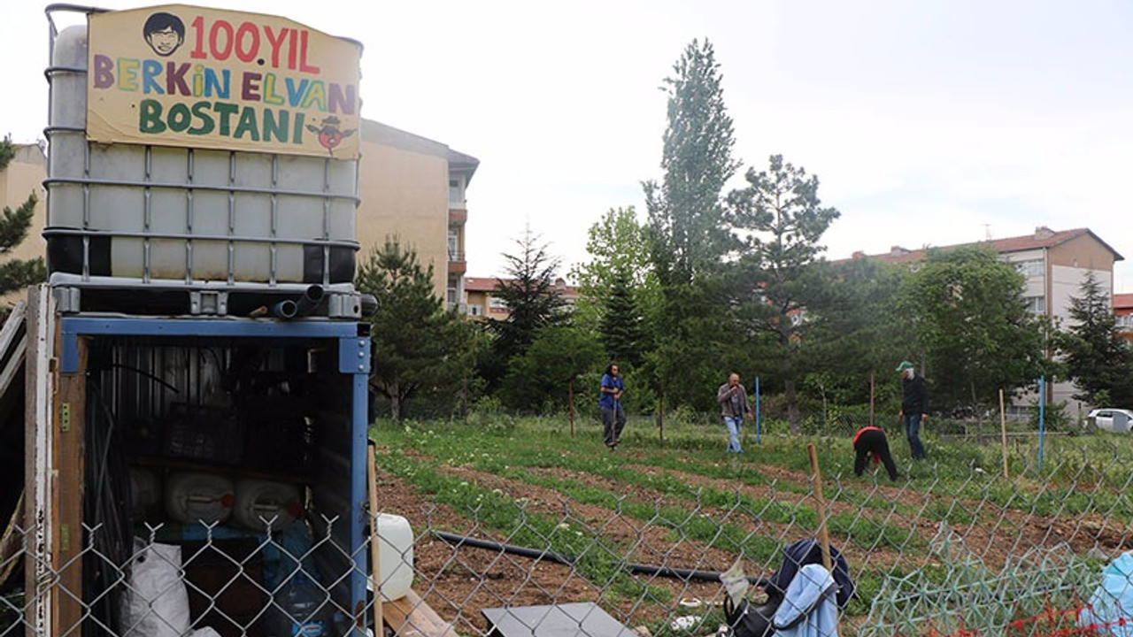 Berkin Elvan bostanı yeşeriyor