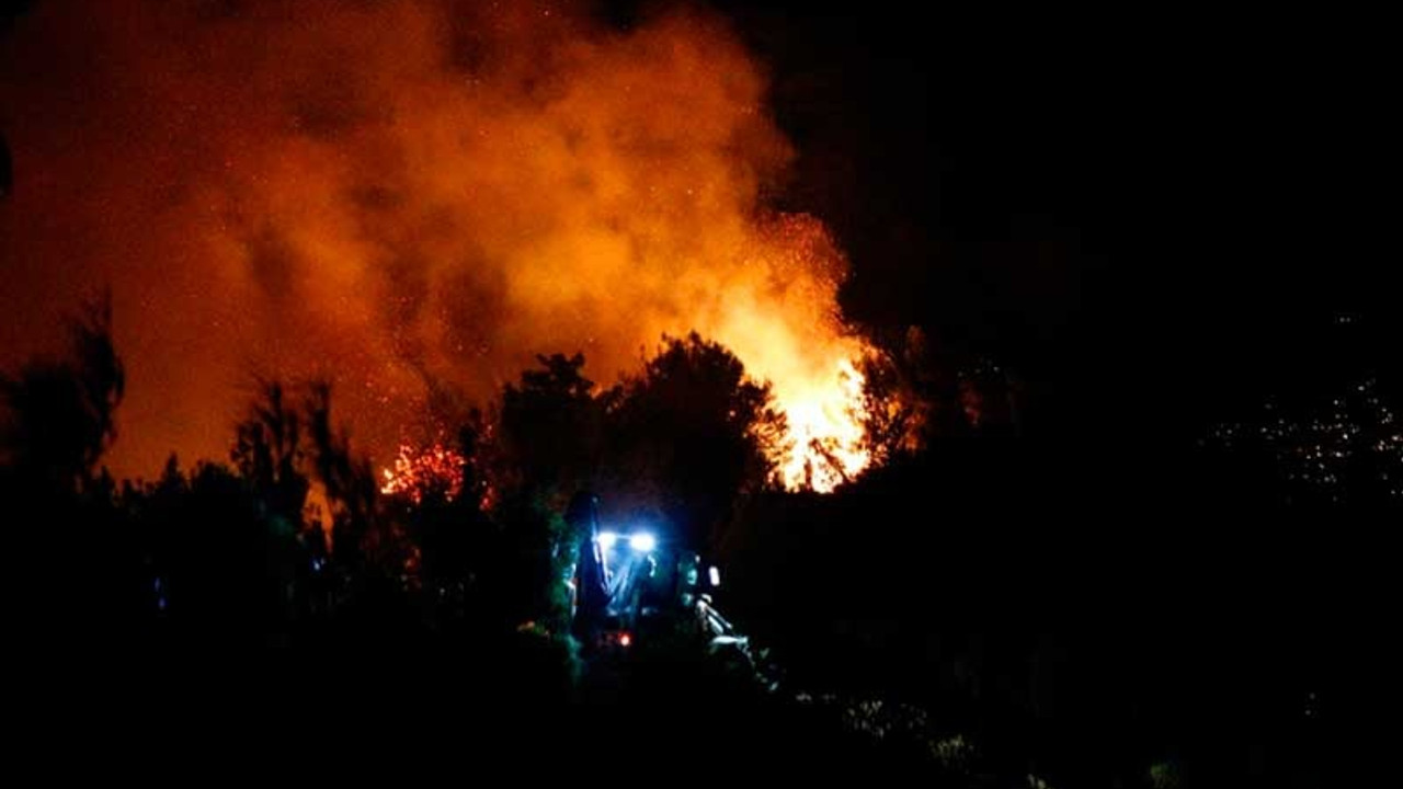 Hatay'da aynı anda birçok noktada orman yangını