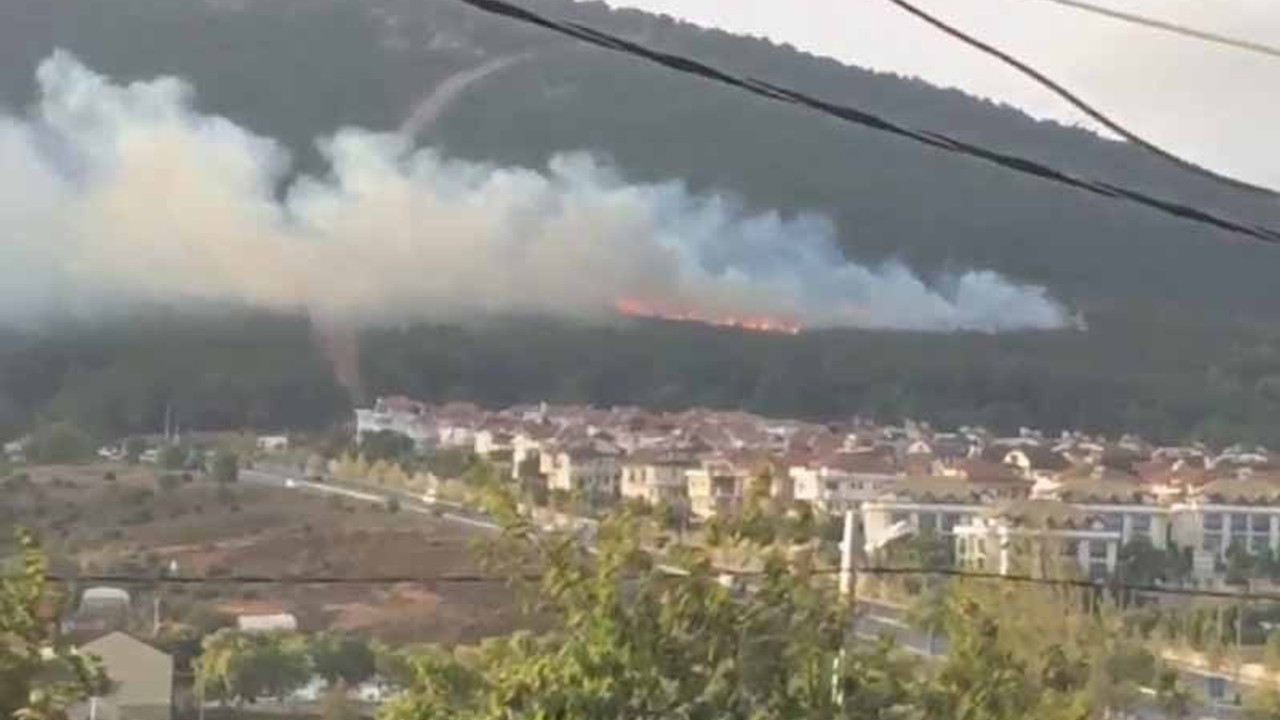 Pendik'teki orman yangınıyla ilgili bir kişi gözaltına alındı