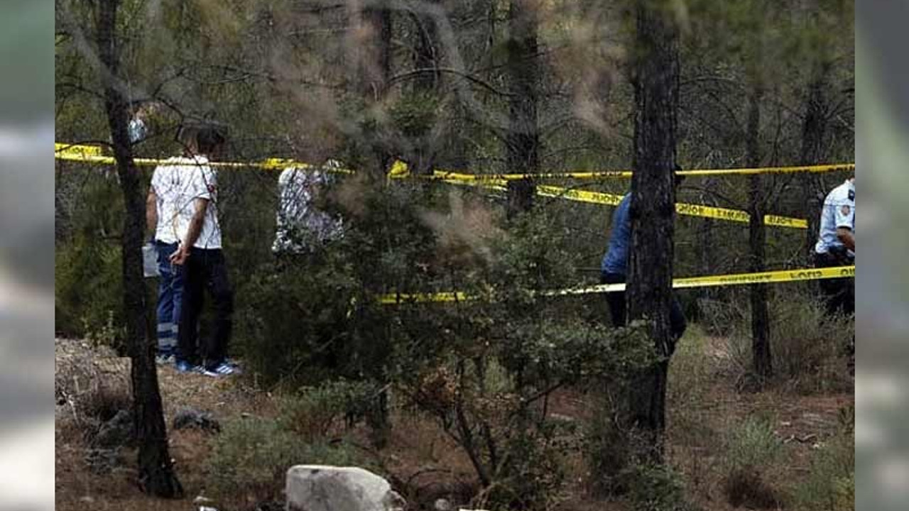 Ormanlık alanda belden yukarısı olmayan kadın cesedi bulundu