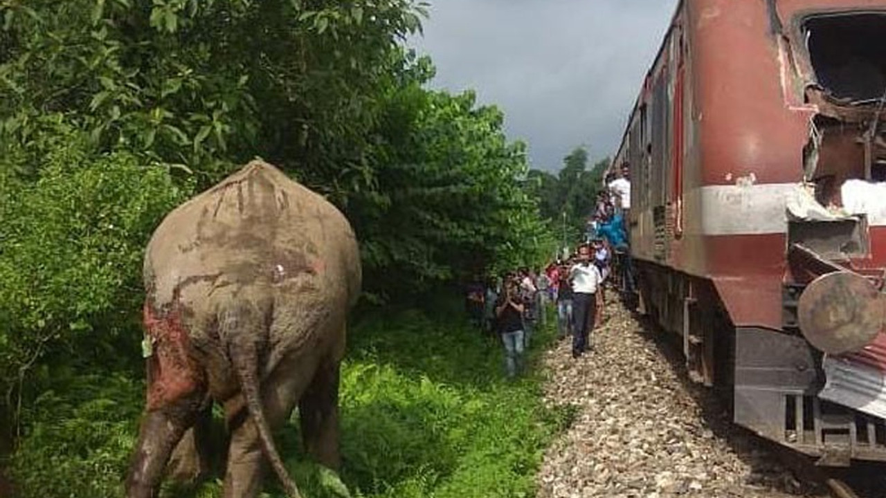 Hindistan’da tren file çarptı