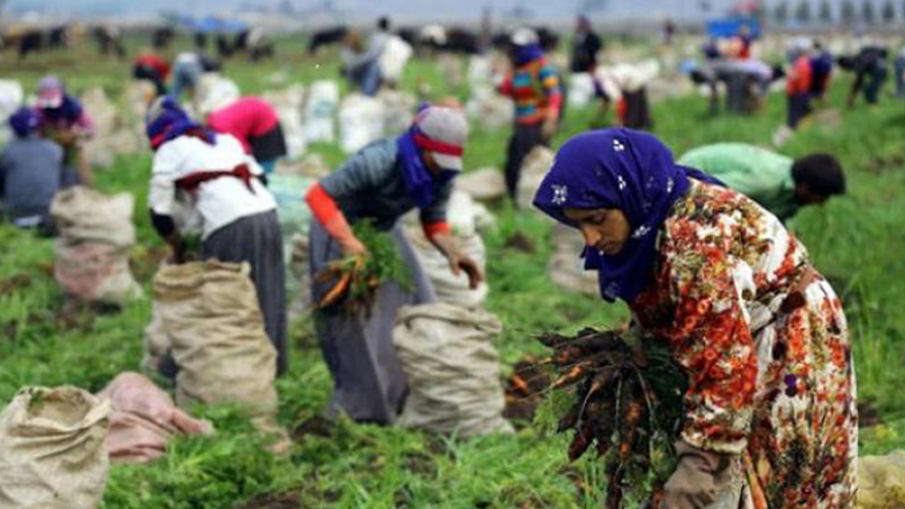 Mevsimlik kadın işçiler Meclis'e taşındı