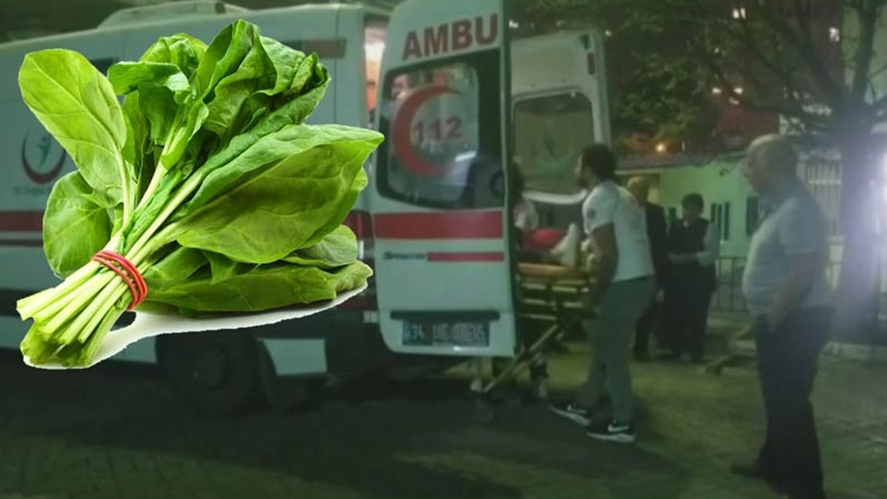 İstanbul'daki zehirlenmelerin nedeni belli oldu: Tarım Müdürlüğü açıkladı