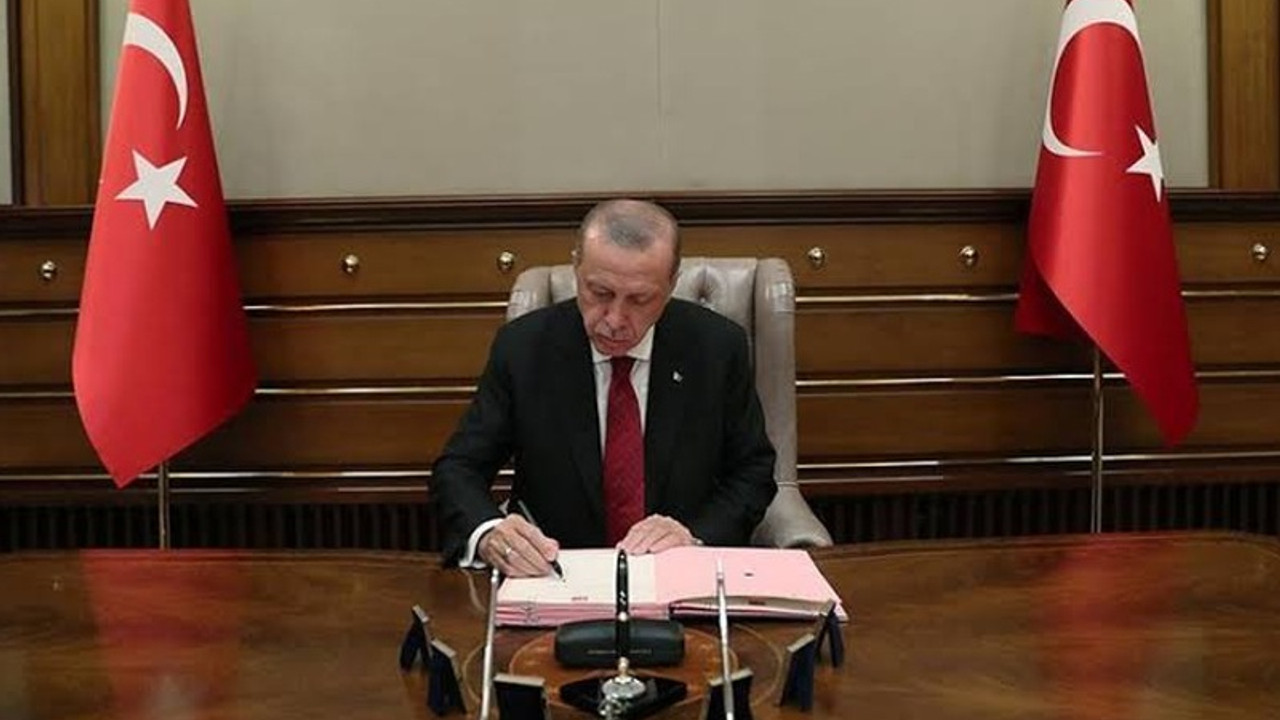 Erdoğan'a yeni danışman