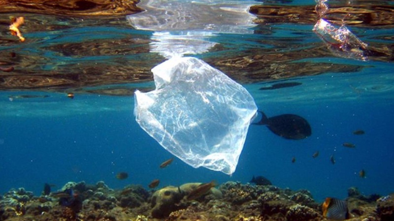 'Okyanuslarda balıktan çok plastik olacak'