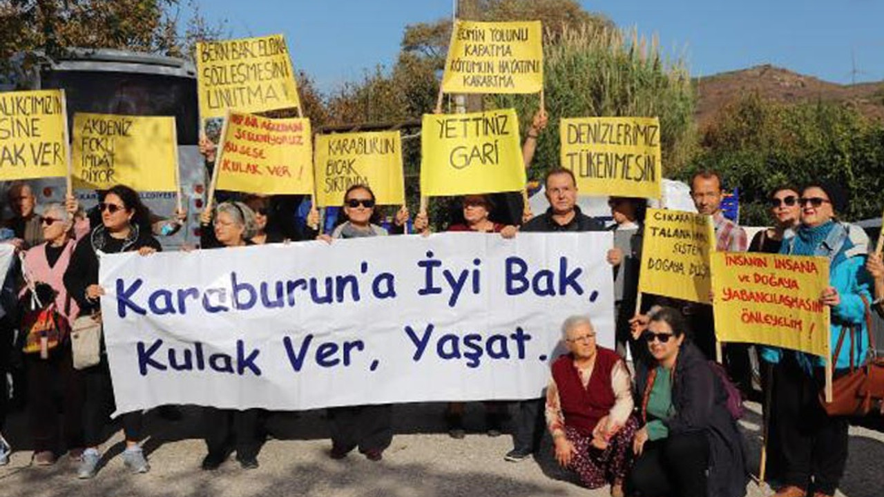 Karaburun'da balık çiftliği protestosu: Fok balıklarının son üreme alanı