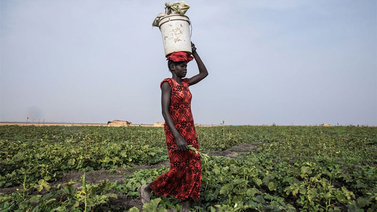 Çiftçisine destek ödeyemeyen Türkiye, Sudan’dan tarım ürünü alacak