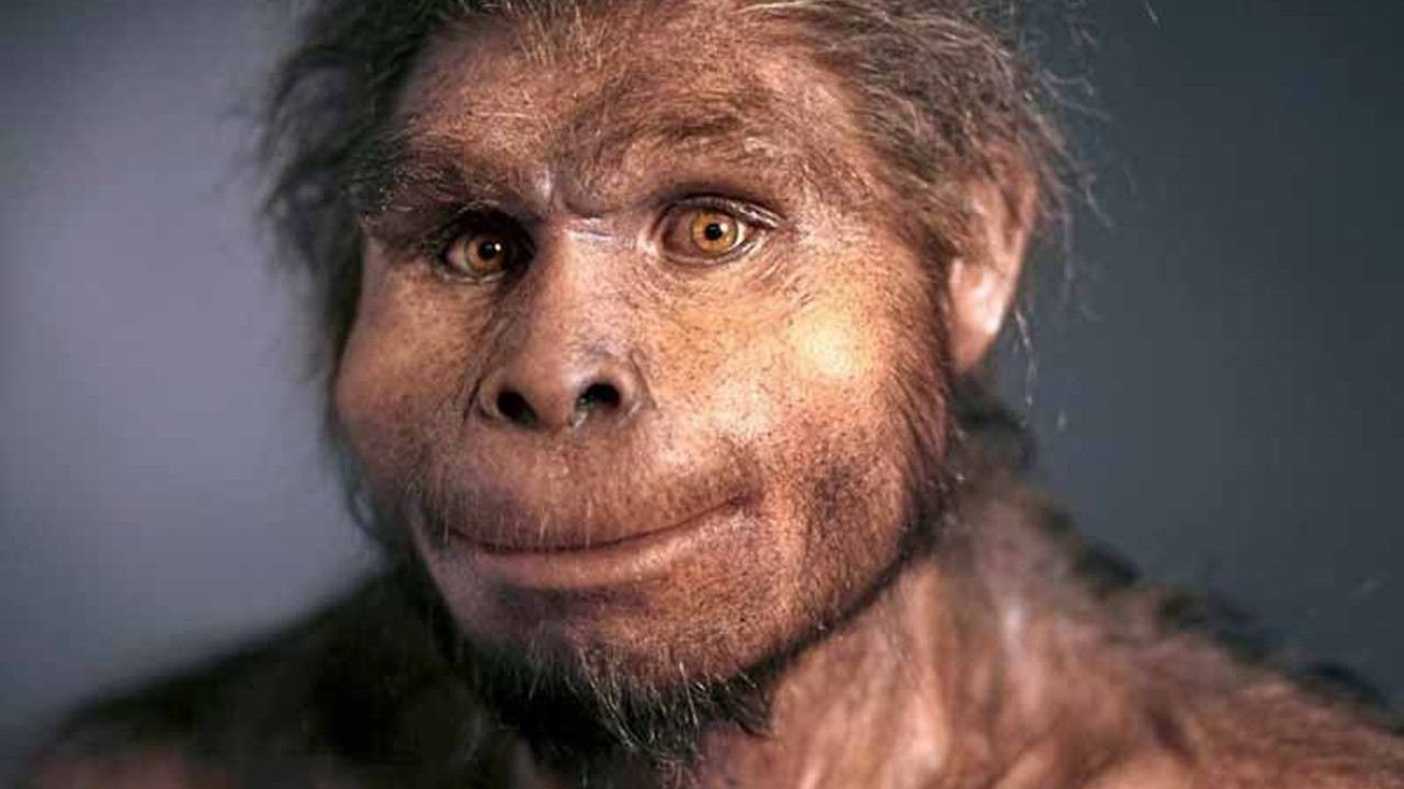 Homo Erectus sanıldığından daha uzun yaşamış