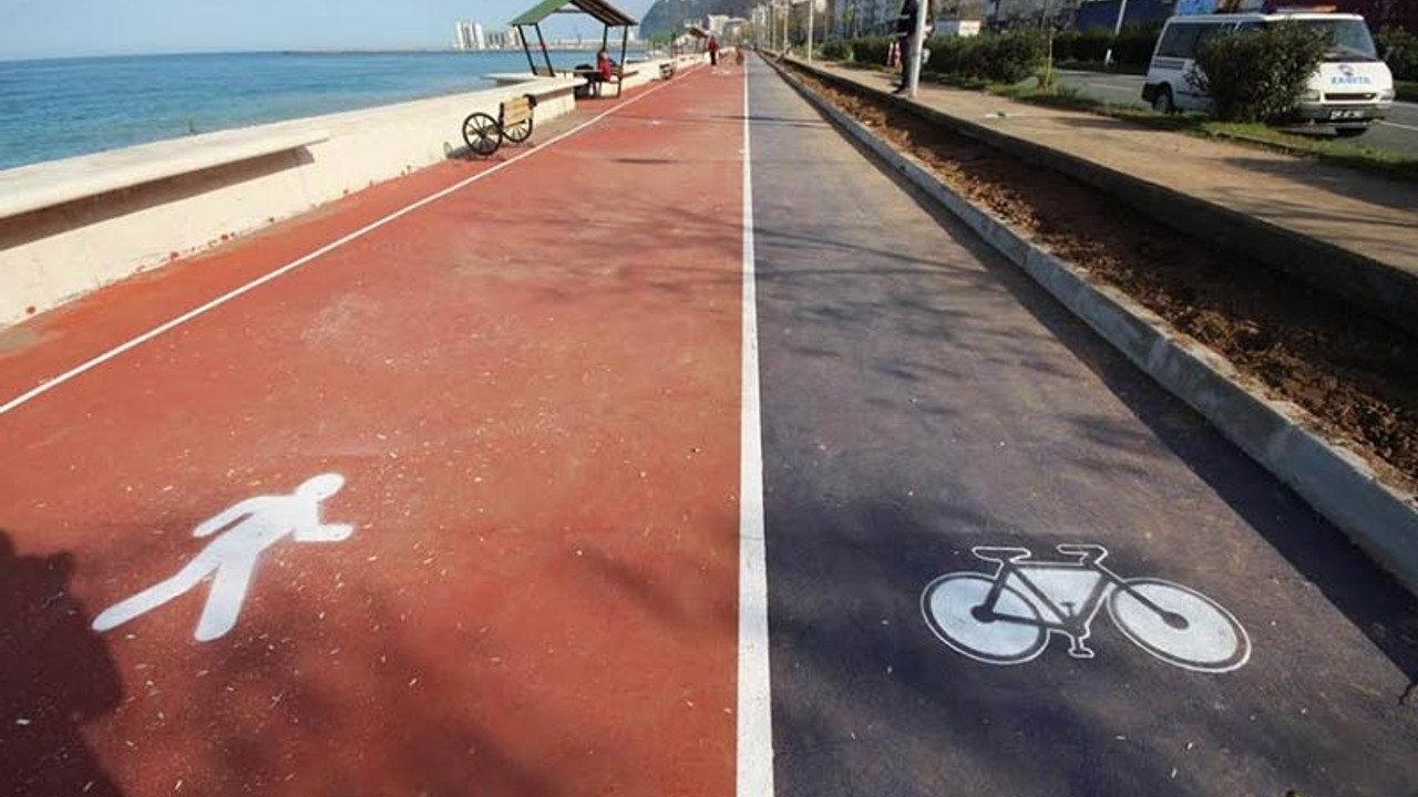 Belediyelere obezite reçetesi: Ağacı, bisikleti ve fiziki aktiviteyi önemseyin