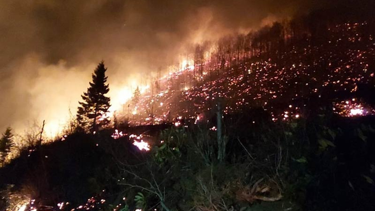 Karadeniz'de 47 noktada yangın: Evler yandı, tarım arazileri zarar gördü