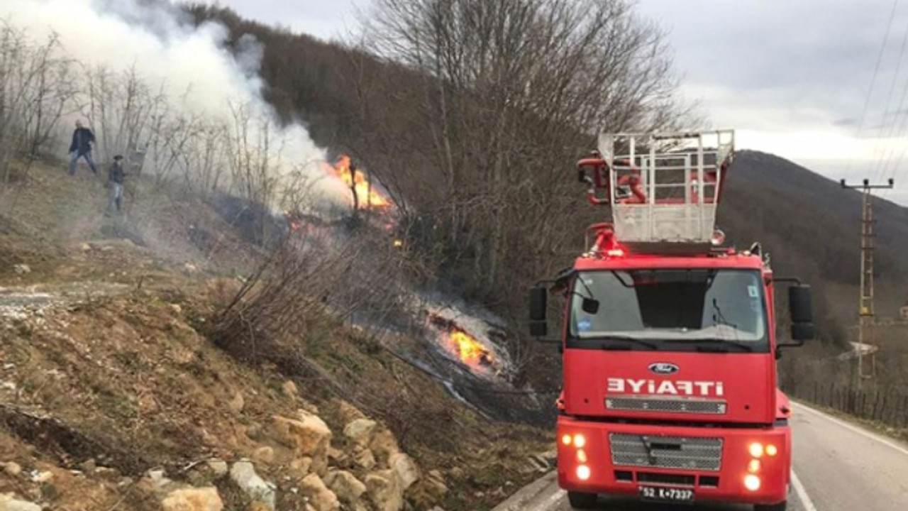 Karadeniz’de yangın bilançosu: 280 hektar orman yandı