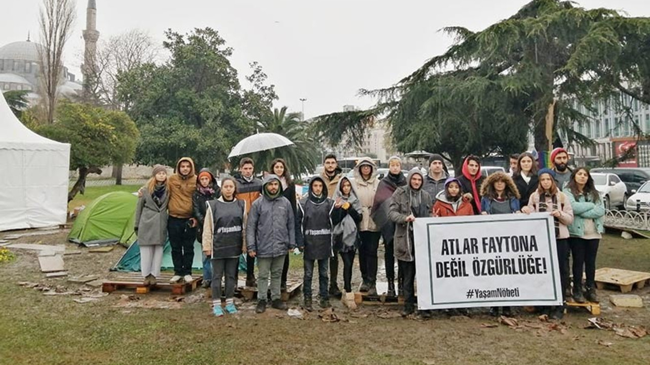 'Adalar’daki hayvan sömürüsünün derhal yasaklanmasını istiyoruz'