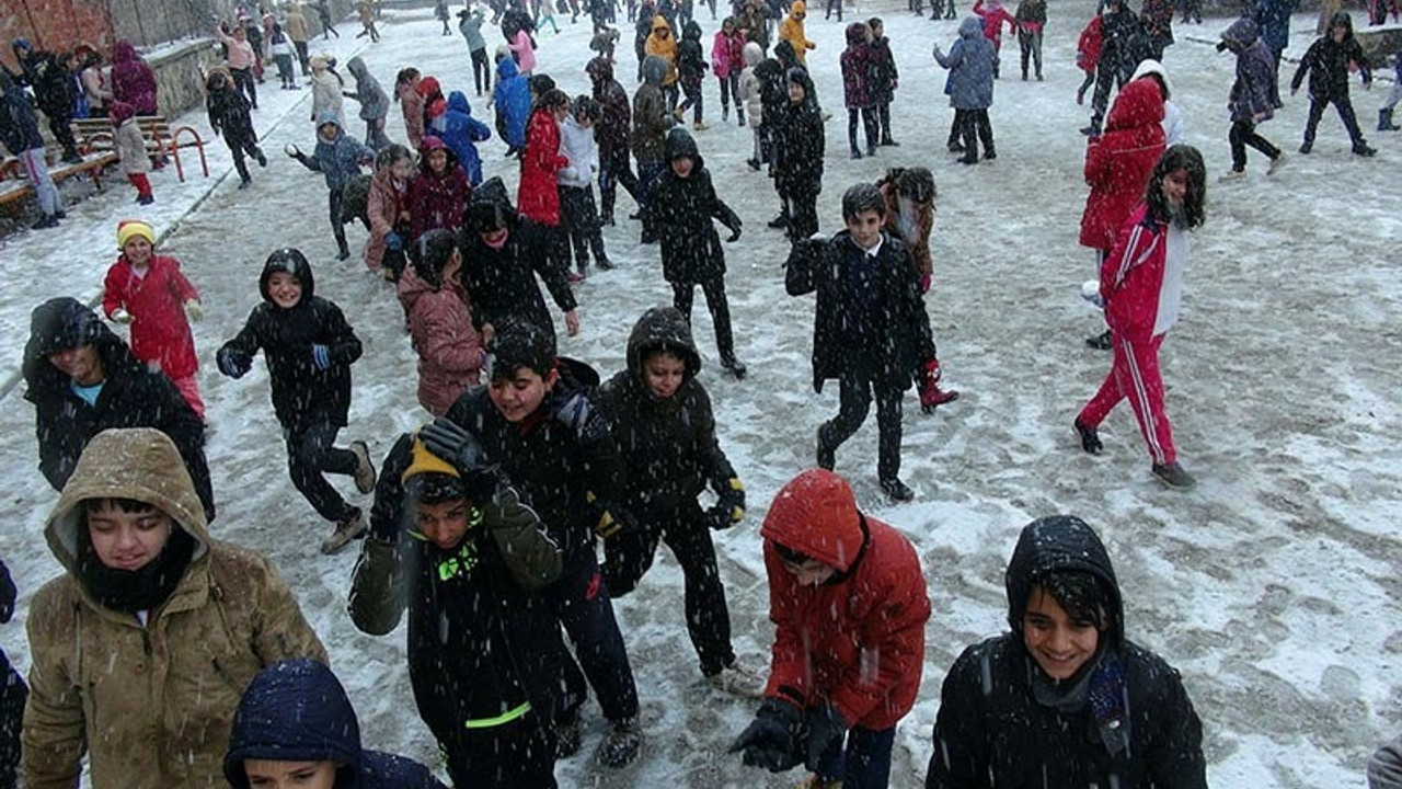 Sivas ve Adıyaman'ın ilçelerinde kar tatili