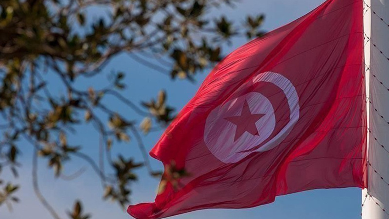 Sputnik: Tunus İçişleri Bakanlığı Türkiye'den Libya'ya giden silahlara el koydu