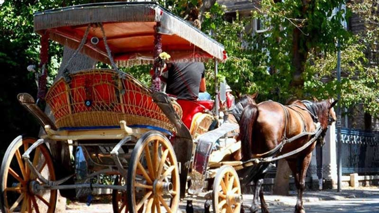 İBB Adalar'daki faytonları satın almaya karar verdi