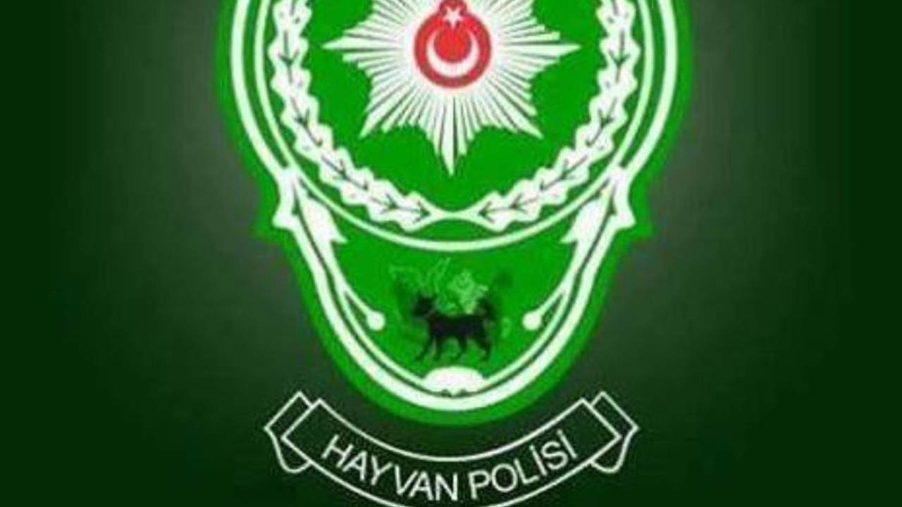 Hayvanlara karşı işlenen suçlara 'hayvan polisi'