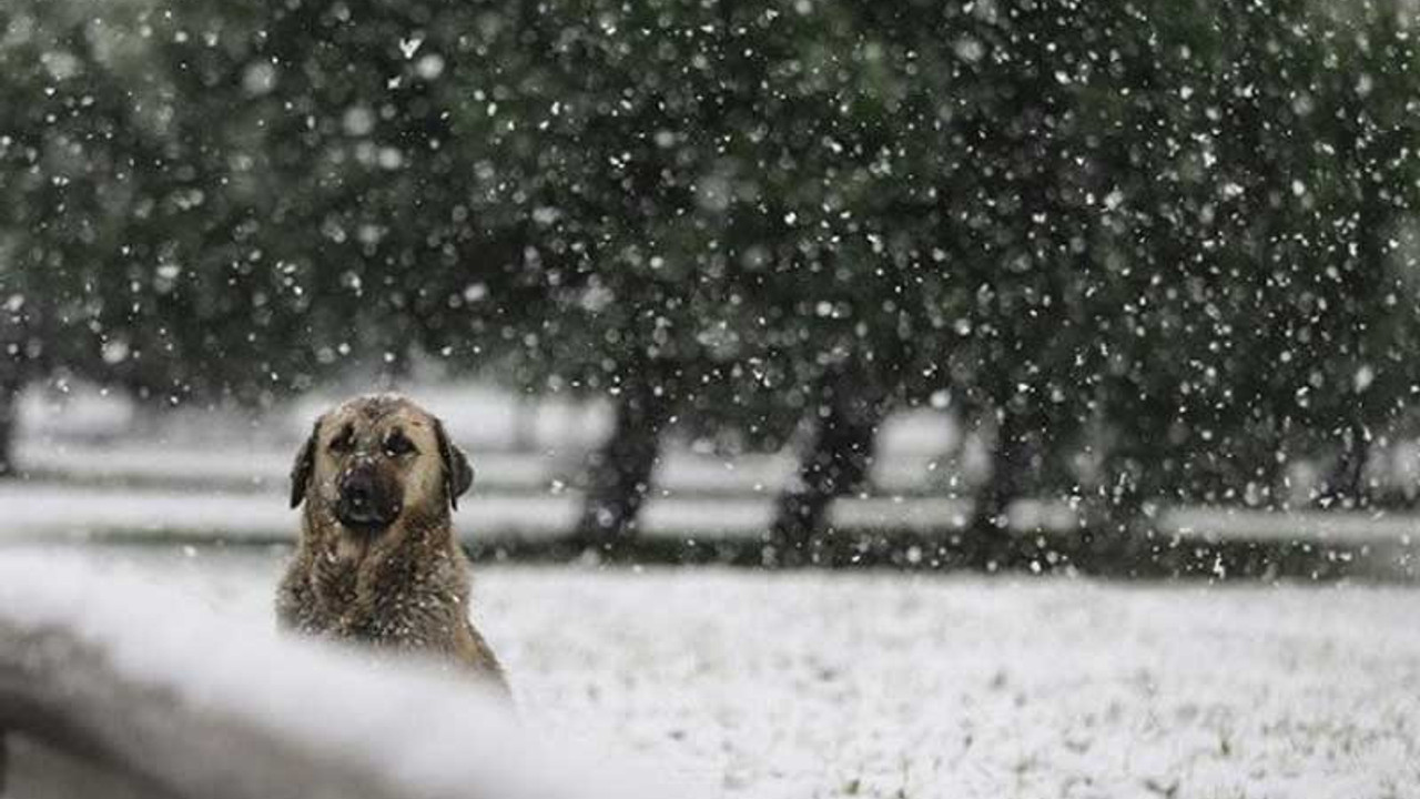 İstanbul'a kar geliyor