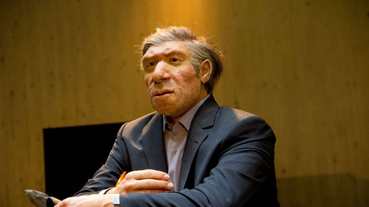 Neandertal DNA'sı, Avrupalılardan Afrikalılara geçti