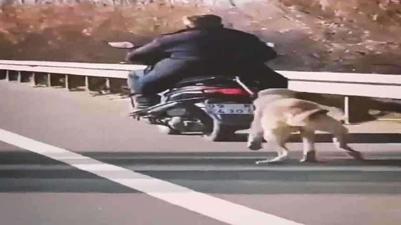 Köpeği motosikletinin arkasına bağlayıp koşturdu