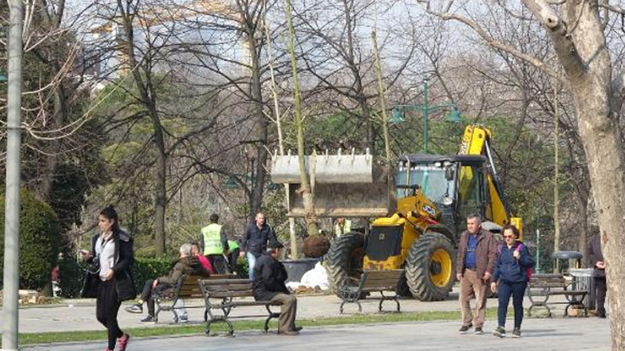 Gezi Parkı'na 150 ağaç dikiliyor