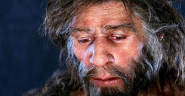 Neandertaller de düzenli olarak deniz ürünleri tüketiyormuş
