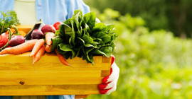 Türkiye Ziraat Odaları Birliği'nden Covid-19 Danışma Kurulu önerisi