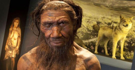 Erken yatıp erken kalkanların sırrı çözüldü: Neandertal geni