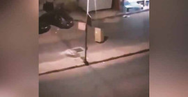 Karantina yasağına takılmamak için karton kılığına girdi