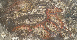 Adıyaman'da 1600 yıllık mozaik
