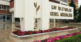 ÇAYKUR zarar etmeye devam ediyor