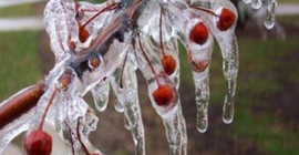 Meteorolojiden Doğu Anadolu'da 6 il için zirai don uyarısı