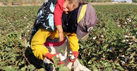 5 milyon anne açlık sınırının altında yaşıyor