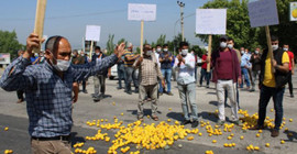 Limon üreticisi eylem yapıp yol kapattı