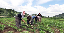 'Çiftçilerimizin mağduriyetleri giderilmelidir'