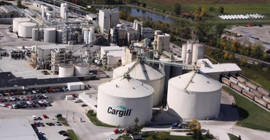 Çiftçi hacizle boğuşurken, Cargill'e 45 milyon liralık kıyak