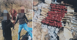Dağ keçisini öldürüp mangal yaptı