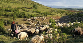 Dersim'de askerlerden yaylacılara: Oradan inin hoşumuza gitmiyorsunuz