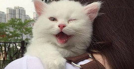 Selvi: Z kuşağı bir kedi için dünyayı yakabilir