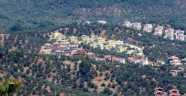 'Zeytinlikler imara açılmak isteniyor'