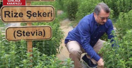 Eleştirilerin odağındaki isim Sütlüoğlu: Partim zarar görmesin diye sustum