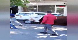 Canını kurtarmak için kaçan boğayı, çevredekiler yakaladı