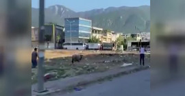 Can havliyle kendisini öldürmek isteyenlerden kaçtı